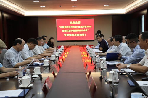 中国化纤科技大会暨第26届中国国际化纤会议专家来访我校