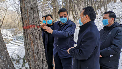 落实省林业局工作要求|咸阳市副市长程建国深入林区检查指导春季林业重点工作