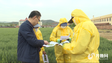 威海环翠区开展重大农业有害生物应急演练 专家支招保丰收