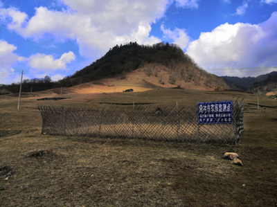 严防沙漠蝗入侵 保山市启用林业有害生物监测点240个