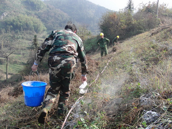 广西南宁天鹰有害生物防治