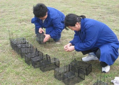 家庭灭四害措施 家庭灭四害 康泰有害生物防治