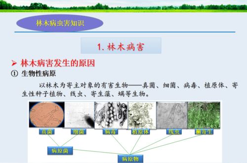 生态卫士大讲堂第七期 有害生物防治