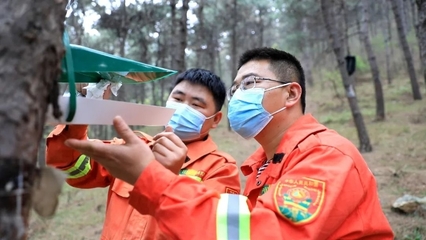 扛牢护林保水使命 守护密云绿水青山